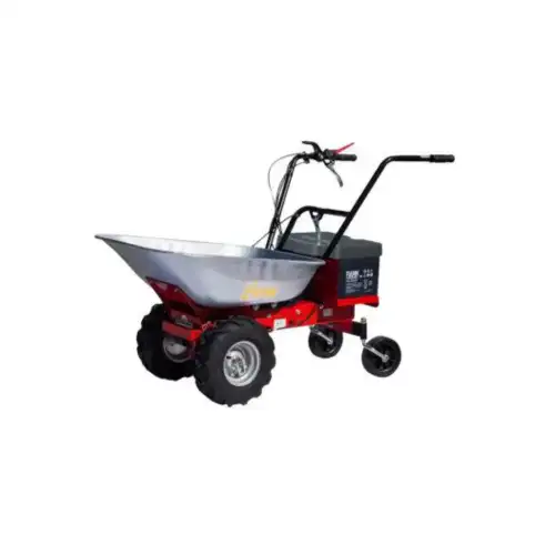 Carro de Transporte Elétrico Carry 300W 24V Eurosystems